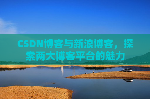 CSDN博客与新浪博客，探索两大博客平台的魅力